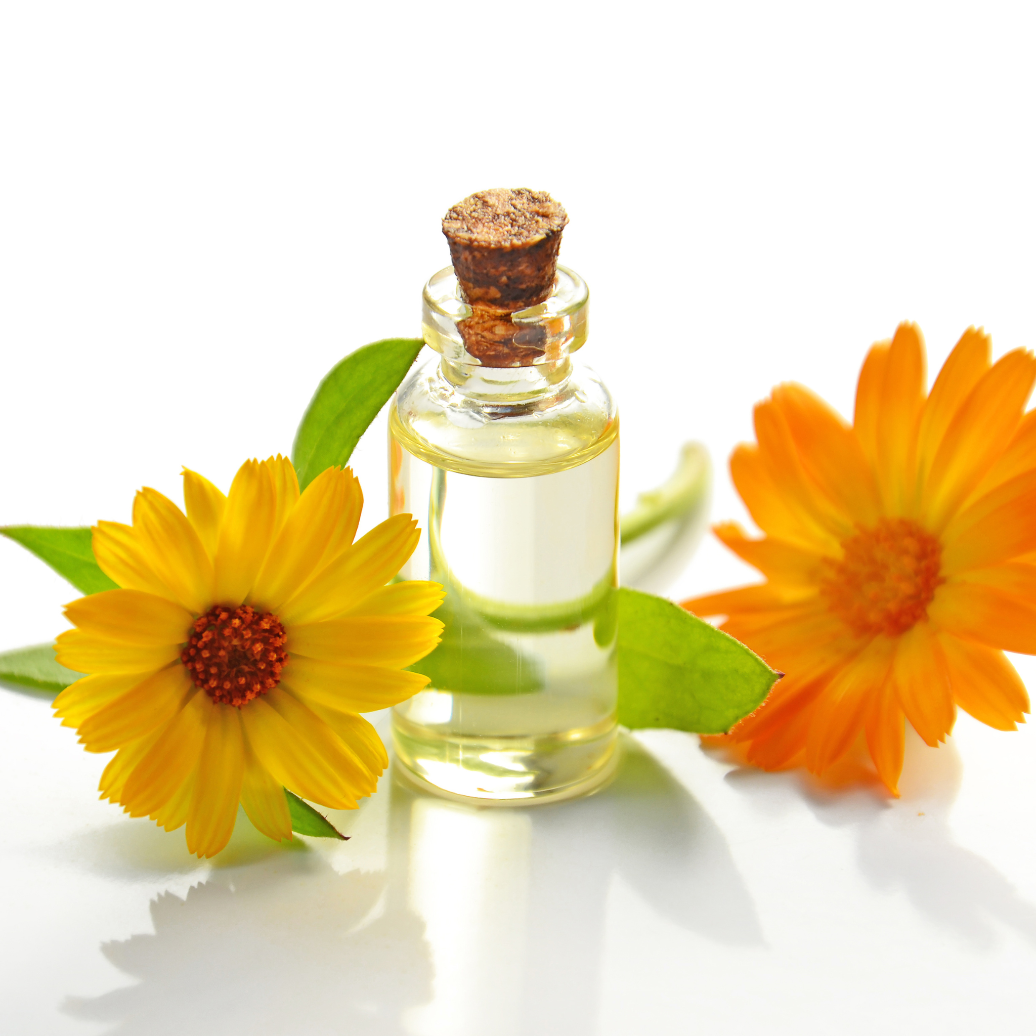 Calendula Flower Oil: A Gentle Hero for Delicate Baby Skin