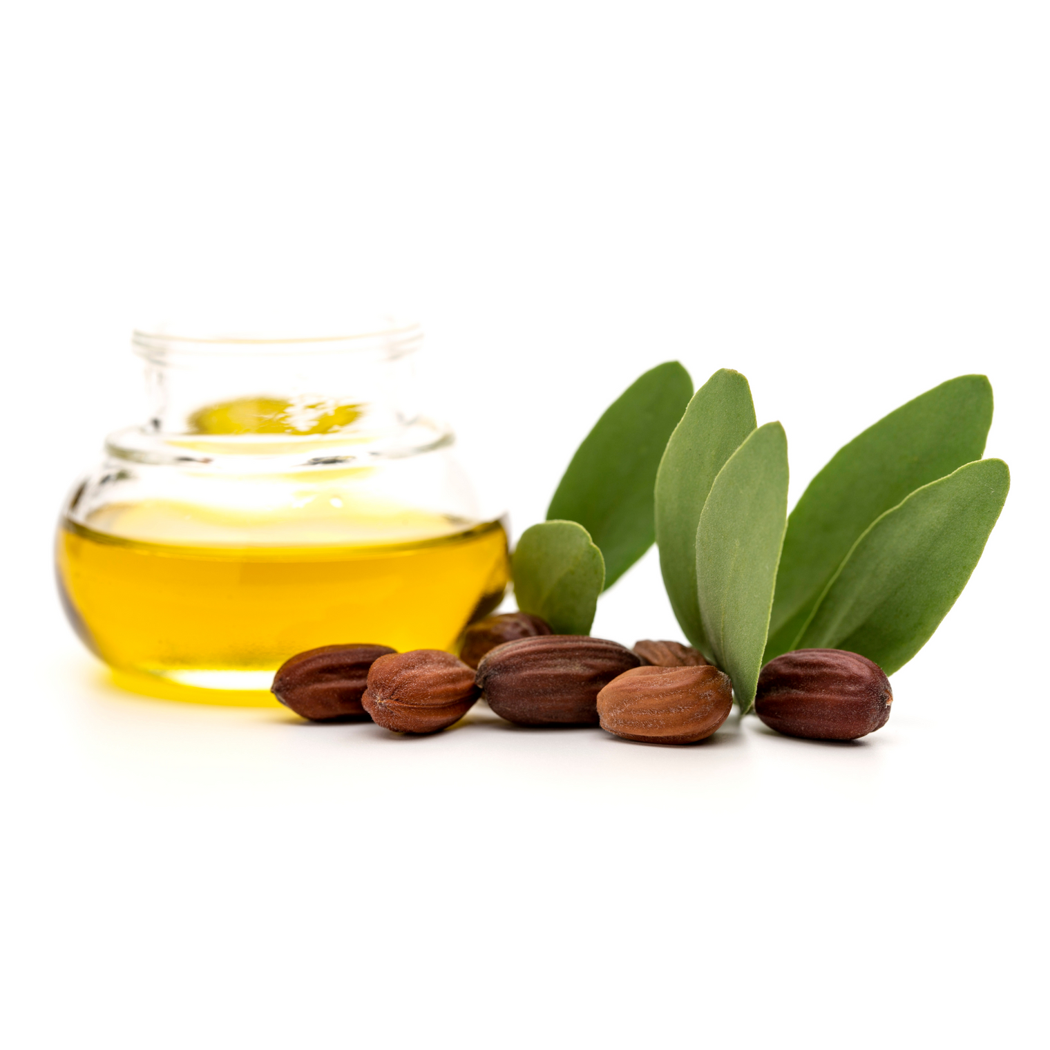 Jojoba Seed Oil: Skin Harmony from the Desert