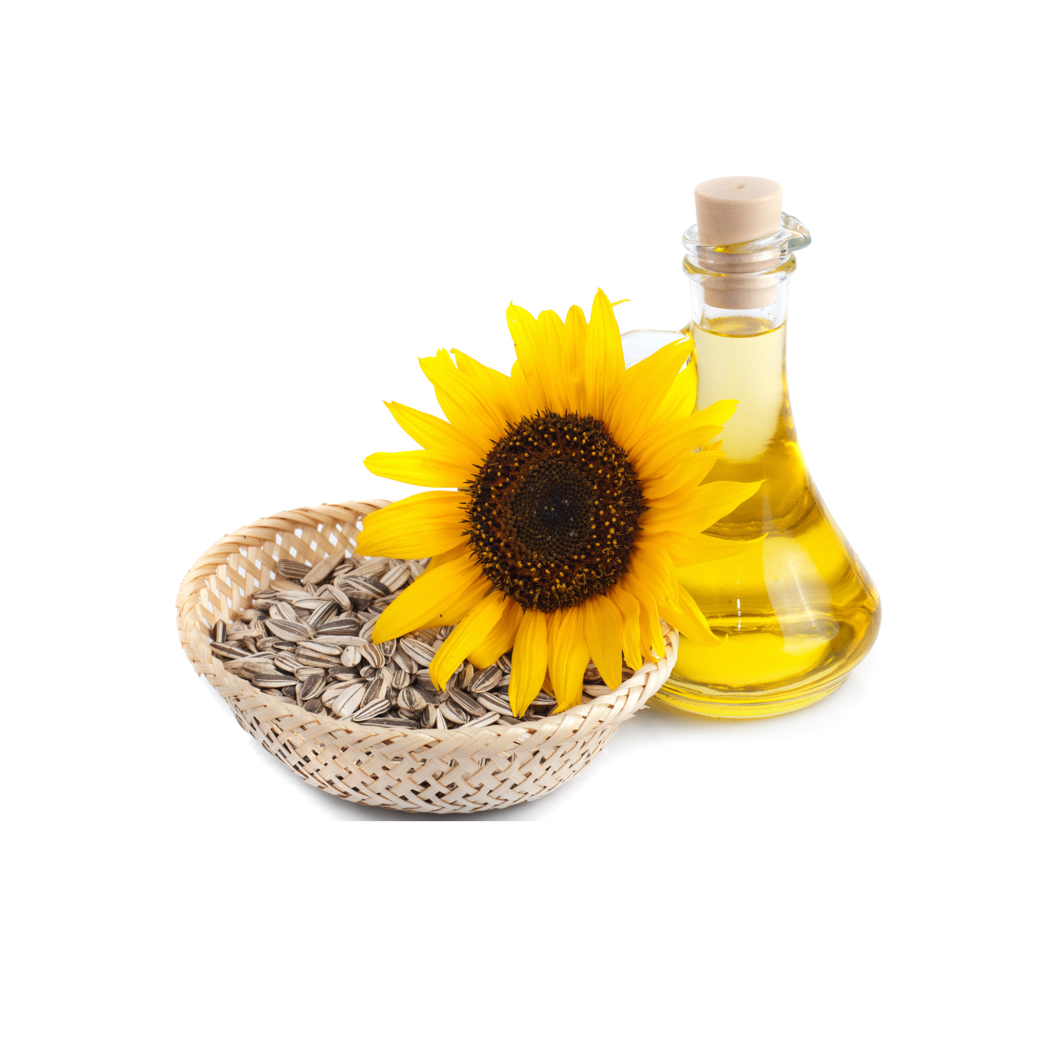 The Silent Shield: How Sunflower Seed Oil Nurtures Baby Skin with Nature’s Precision