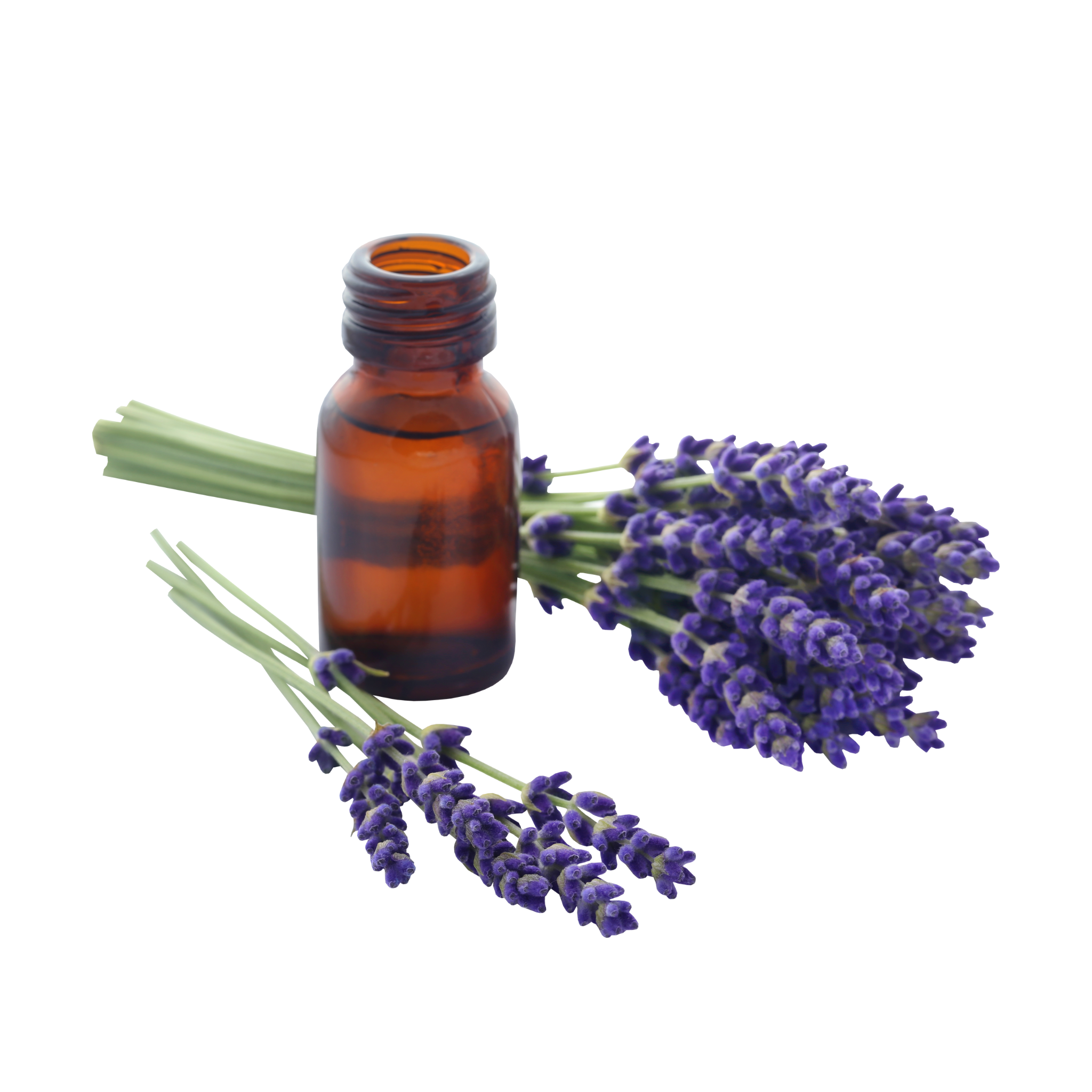 Beyond the Scent: The True Power of Lavender in Baby Care